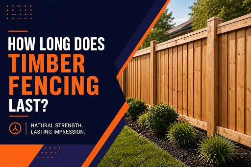 How Long Does Timber Fencing Last?