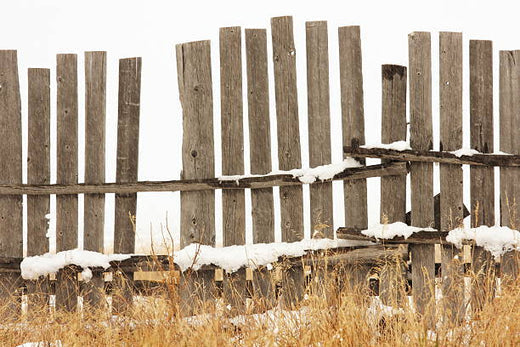 Hardwoods and Softwoods: Everything You Need to Know about Timber Fencing