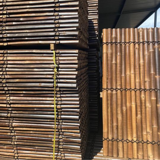 Bamboo