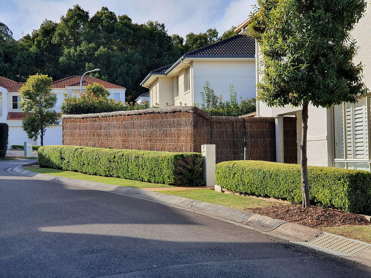 Brush Fencing