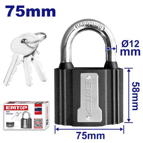 Iron padlock