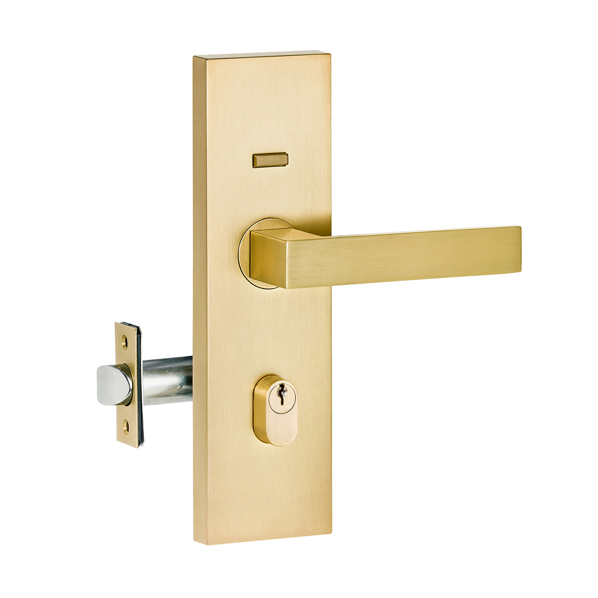 Lemaar Brushed Brass Entry Pro 3.0