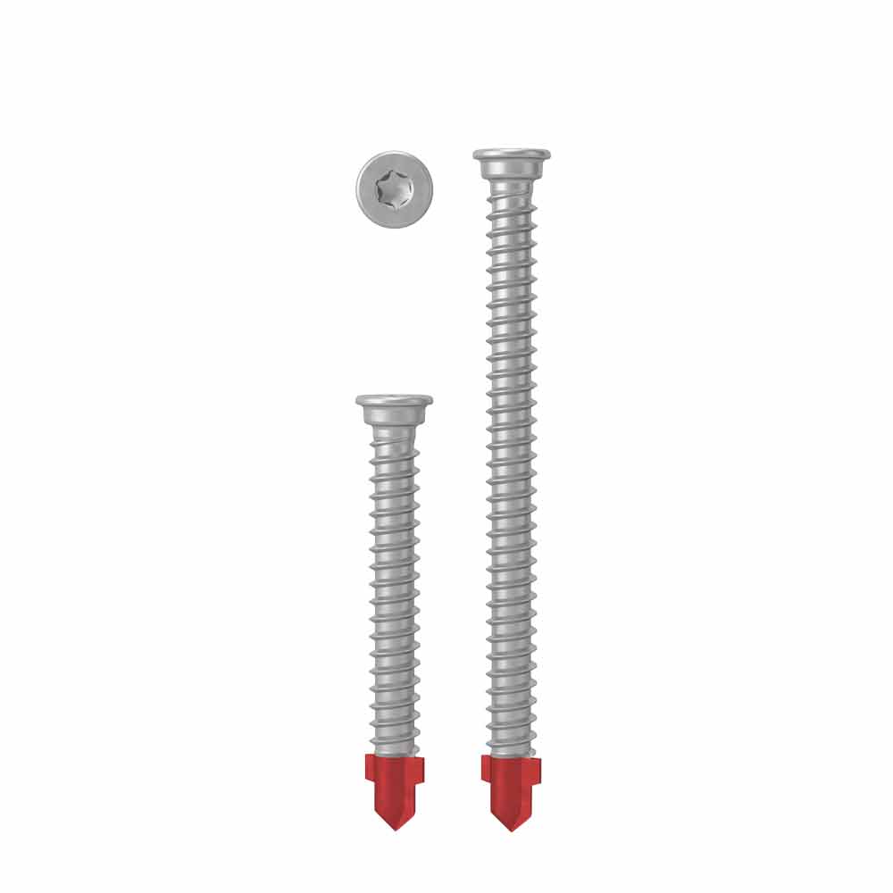 AnchorMark Timber to Metal BiMetal Decking Screw A4 316 S2 5.5x45mm Box of 250