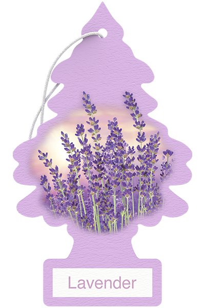 Little Tree 1 Pack Lavender