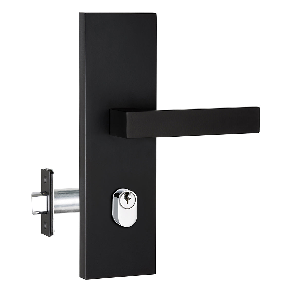 Smart Door Locks
