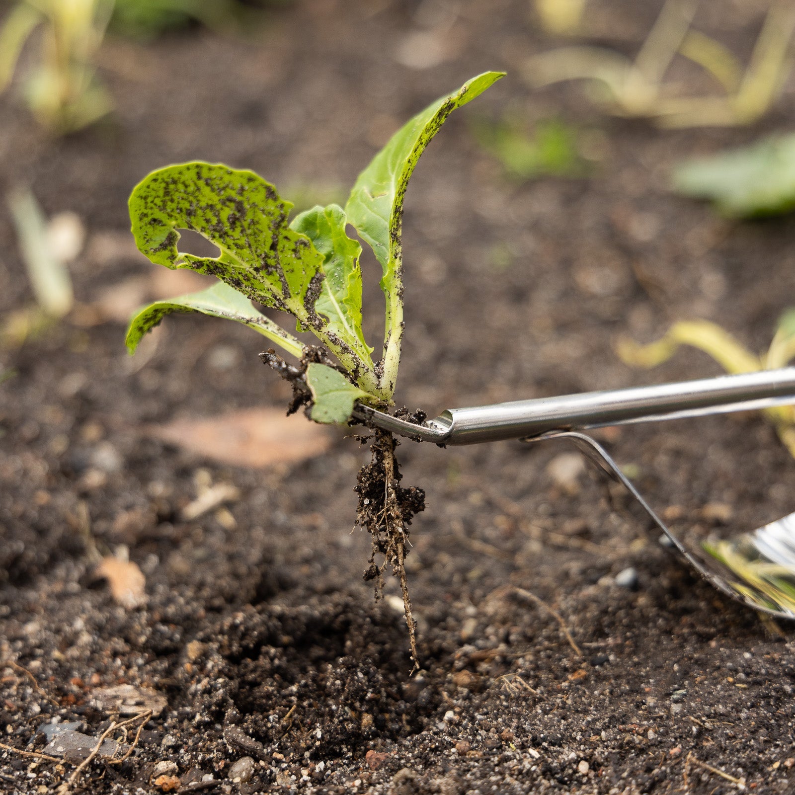 Cyclone Hand Weeder Hand Stainless Steel 654787