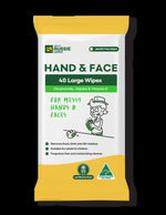 Gaw Paint Wipes 40PK GAW00023