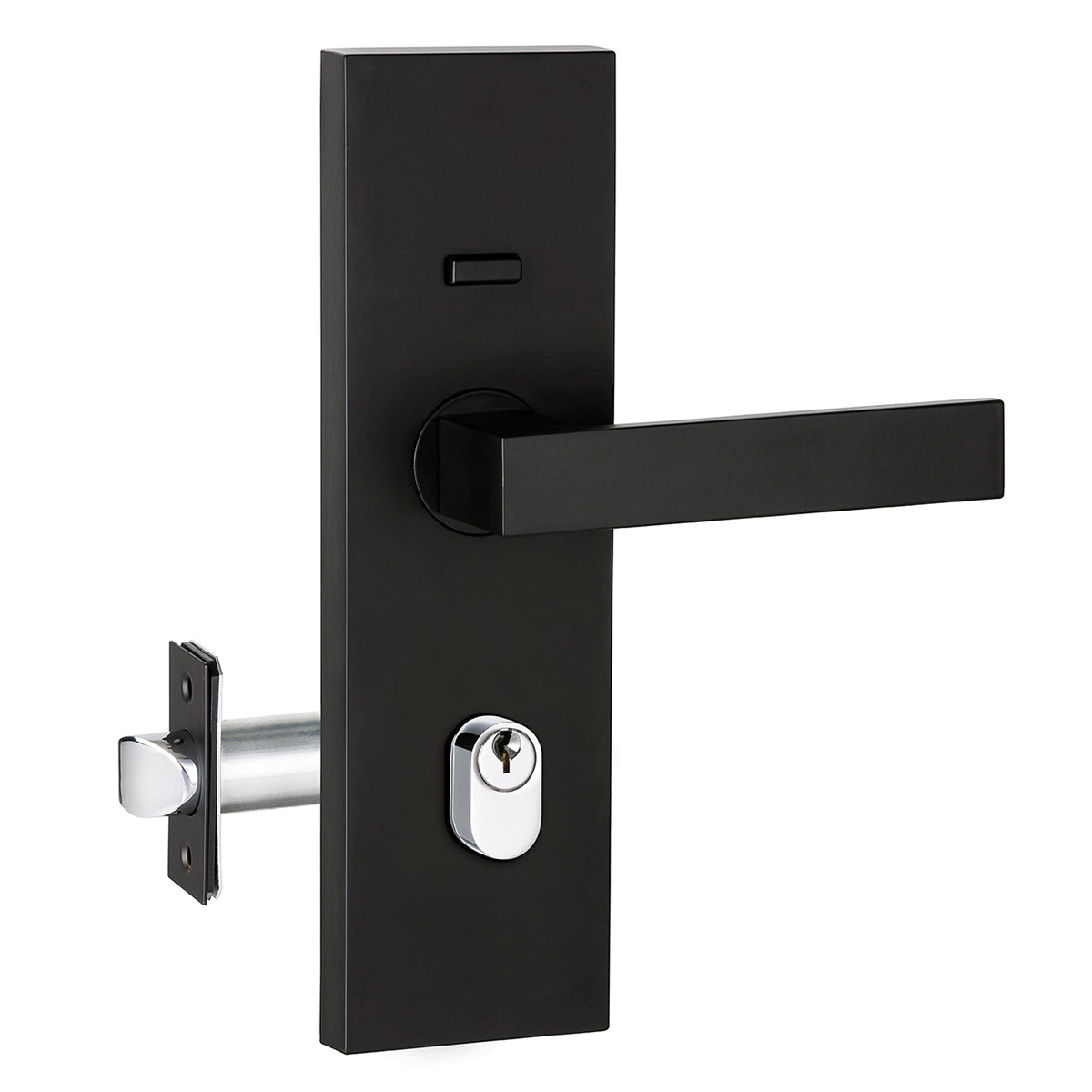 Lemaar Brushed Brass Entry Pro 3.0