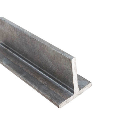 T-LINTEL (250X12-200X10)