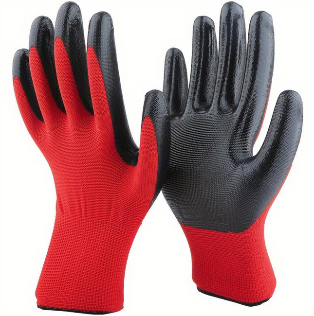 GLOVES PACK OF 12 (MEDIUM)