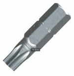 Torx Bit